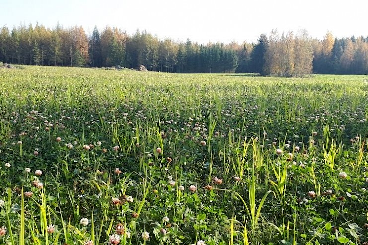 Monipuolinen uudistava tuotanto Satakunnassa