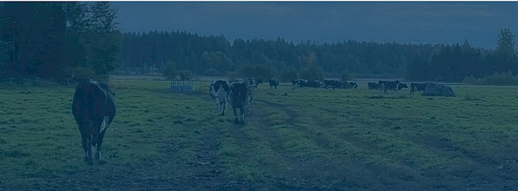 Hakalan tila ja puoti tarttui vastuullisuustyöhön