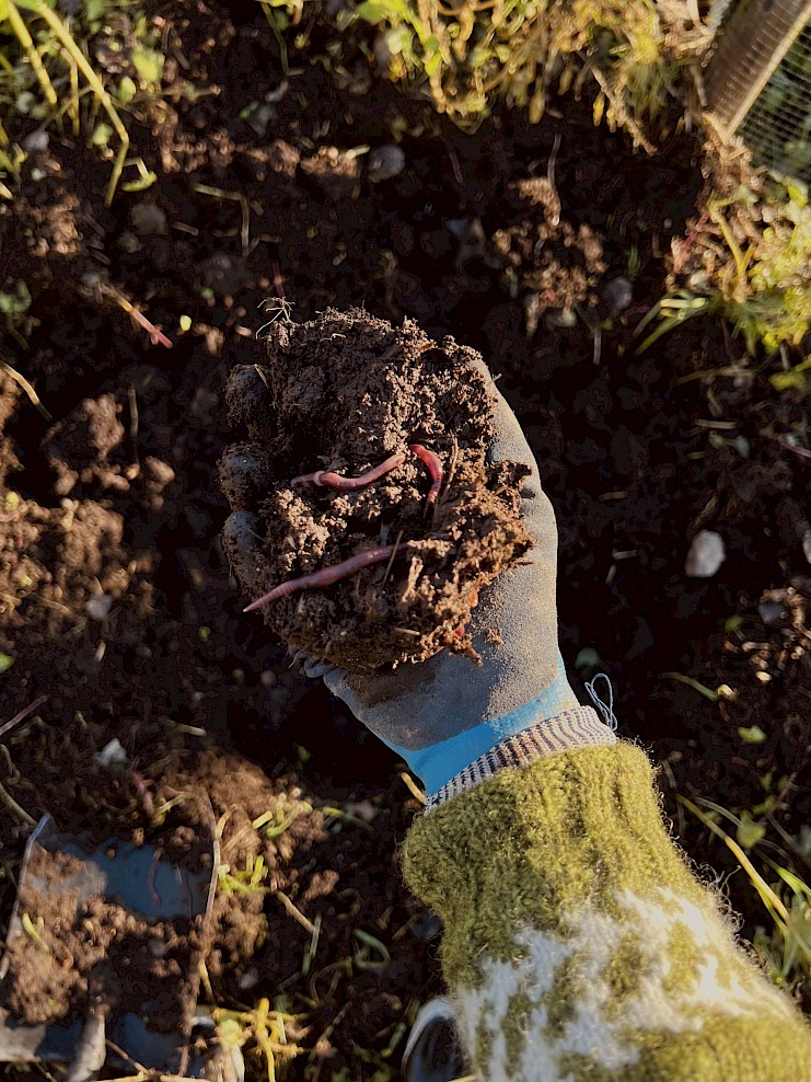 Uusi koulutushanke Satakunnassa: Maaperän elinvoima ja tilojen kannattavuus vahvistuvat