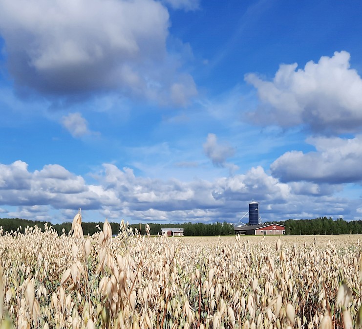 Biokaasulla on potentiaalia vahvistaa kestävää ruokajärjestelmää