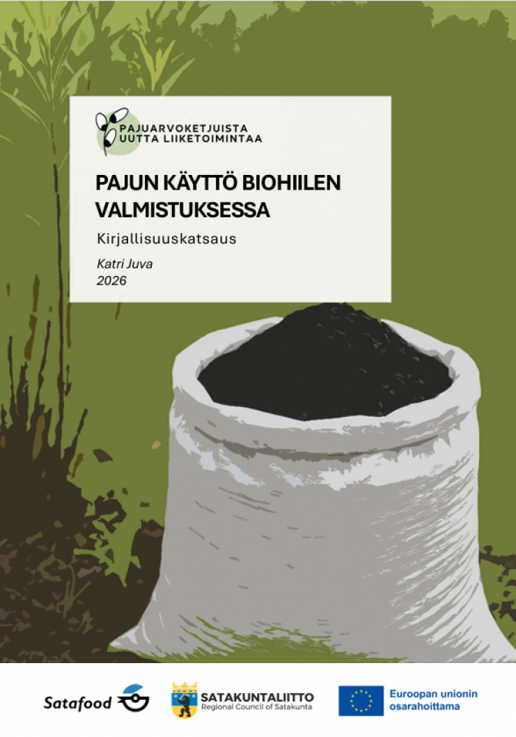 Kirjallisuuskatsaus kokoaa tietoa pajun käytöstä biohiilen raaka-aineena